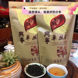 2025头春梅州客家特产兴宁单枞茶单丛蜜阑香茶叶凤凰单枞王1斤