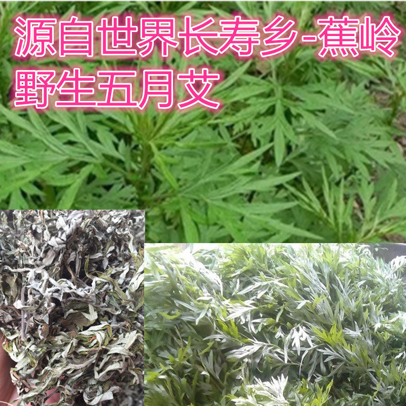 蕉岭特产深山野生五月艾艾草苦蒿汤料全叶250G需要其它跟店主说|msdalam kategori daging perikanan/Buah-buahan segar dan sayur-sayuran/dimasak, sayur-sayuran segar/Vegetable Products, sayur-sayuran segar, lain - dari Buy2taobao.com untuk memberikan perkhidmatan ejen Taobao profesional membeli