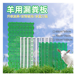 羊用漏粪板塑料羊床板养羊专用的漏粪板保育床接粪漏缝板养殖设备