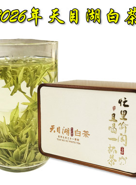 2026年天目湖白茶新茶上市好茶叶