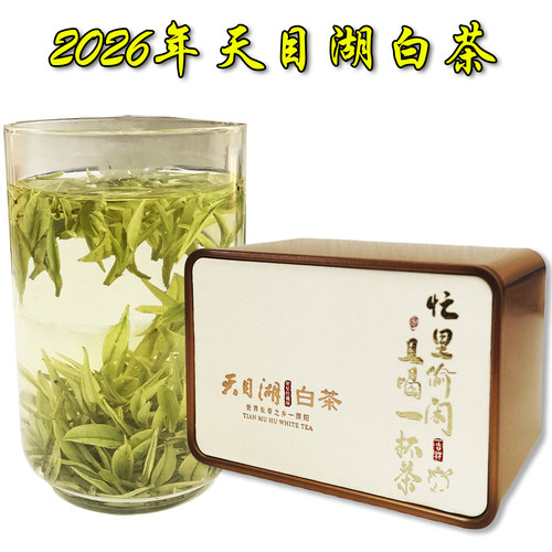 2026年天目湖白茶新茶上市好茶叶