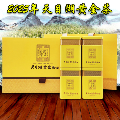 2025年天目湖黄金茶四罐装礼盒精品包邮促销新茶溧阳特产春芽头采