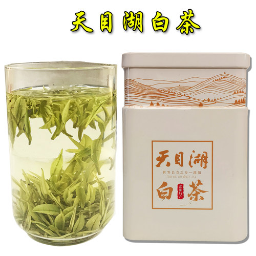 2026年天目湖白茶新茶上市好茶叶