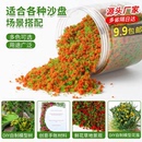 怡迪美DIY手工场景观沙盘建筑模型制作材料仿真树木海绵草粉 树粉