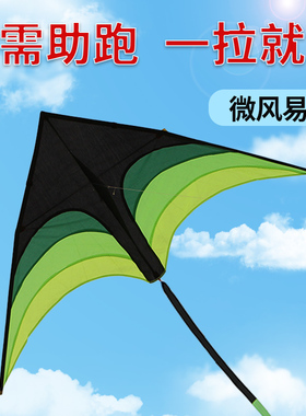 新款潍坊风筝大人专用网红儿童高档大型微风易飞2023年新款风筝