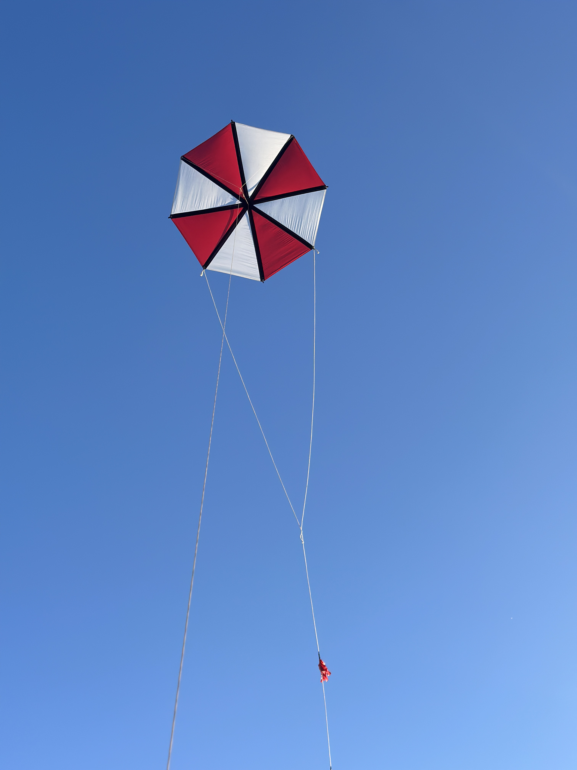潍坊王侉子珍藏544软伞布碳杆，八边形，八角形风筝质量好拉力大