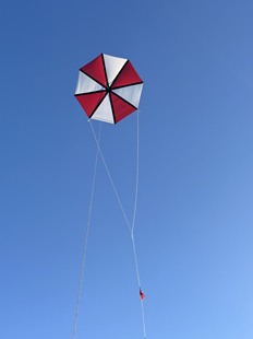 潍坊王侉子珍藏544软伞布碳杆 八角形风筝质量好拉力大 八边形