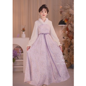 紫韵繁花 素V领长袖 冬季 瑶西 厚款 国风汉元 长款 连衣裙