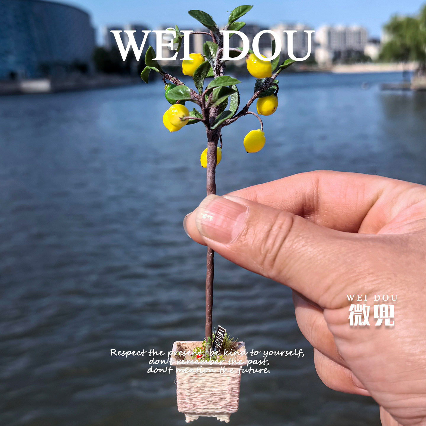 娃娃屋迷你绿植bjd微缩柠檬树ob11袖珍无花果树黏土手作造景模型