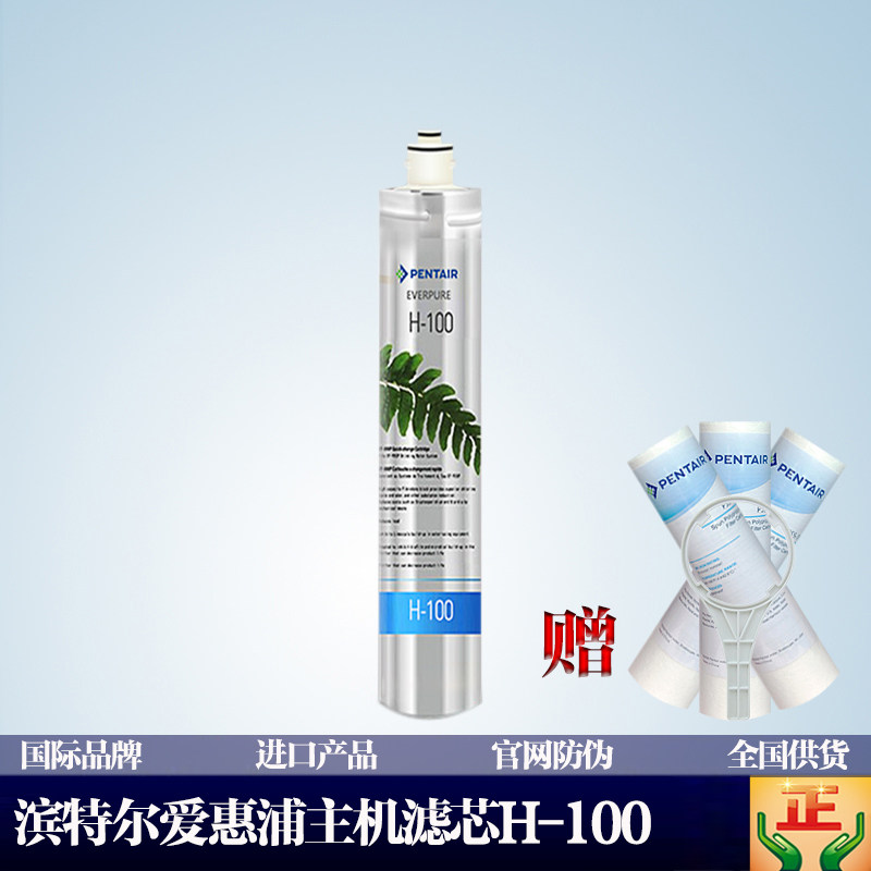 滨特尔爱惠浦正品净水耗材滤芯 家用厨房自来水直饮过滤器H100