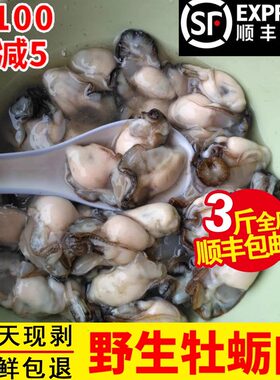 当天现剥去壳新鲜野生海蛎子肉
