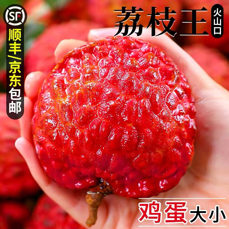 【顺丰空运】海南荔枝王永兴火山岩大荔枝现摘现发新鲜老树果礼盒