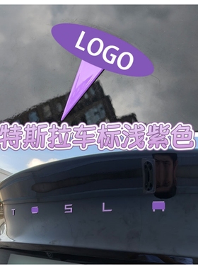 适用特斯拉ModelY/3焕新车标浅淡紫色尾门贴门把手装饰丫配件改装