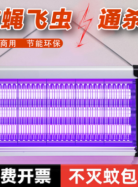 灭蚊灯灭蝇灯蚊虫捕捉器室内家用餐厅饭店商铺挂墙驱蚊神器电蚊子