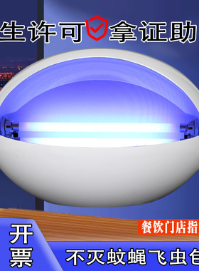 灭蝇灯灭蚊灯商用餐厅饭店用挂墙粘捕式灭蚊虫捕苍蝇神器商铺食堂