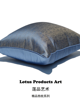 浅蓝色沙发抱枕轻奢客厅靠背现代简约欧式法式靠枕靠垫方形样板房