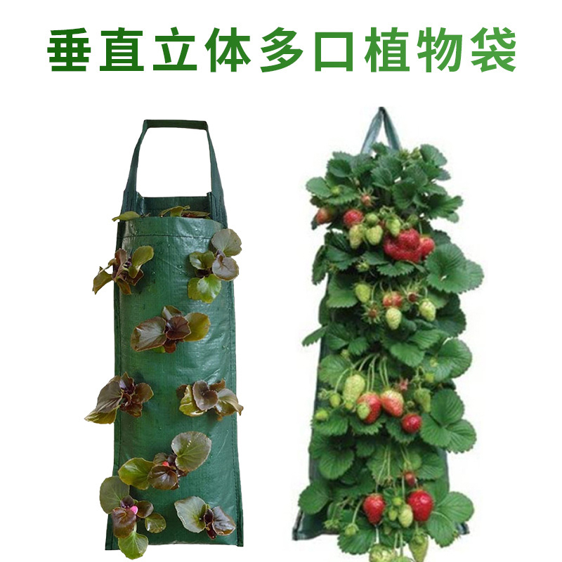 绿化墙PE悬挂垂吊多口草莓种植袋阳台室内壁挂立体种植盆绿美植袋