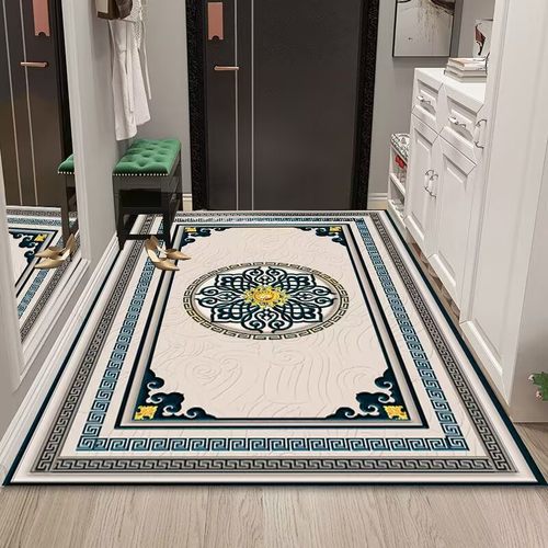 贵妃硅胶入户地垫门口吸水防滑入门垫子玄关满铺耐脏家用门垫子