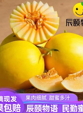 辰颐物语甘肃民勤蜜瓜新鲜水果