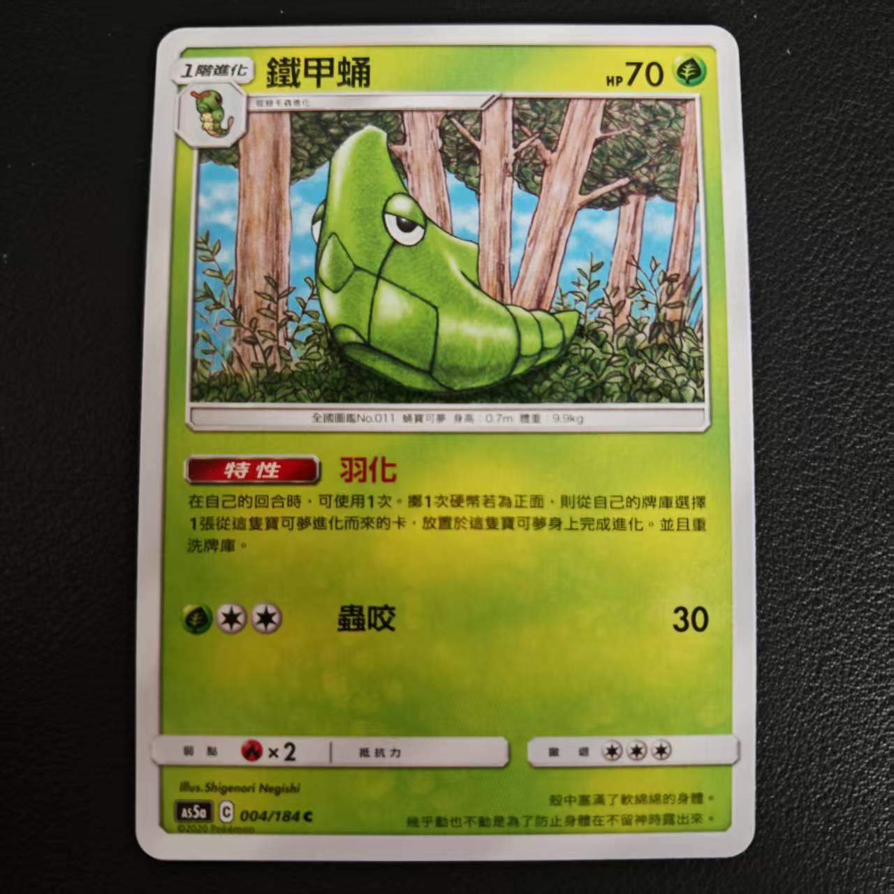 PTCG卡牌繁中日月铁甲蛹C平