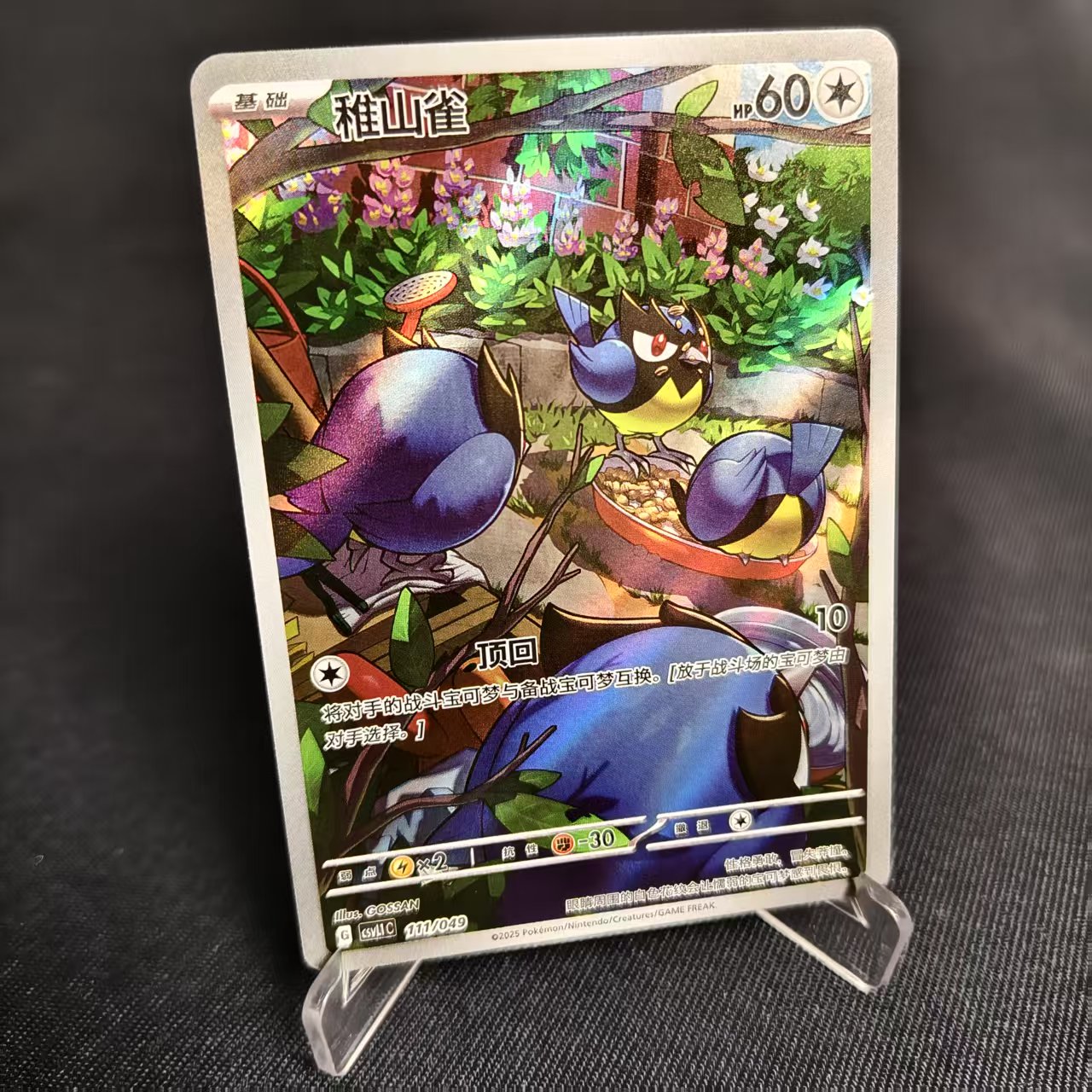 PTCG卡牌简中稚山雀AR闪111