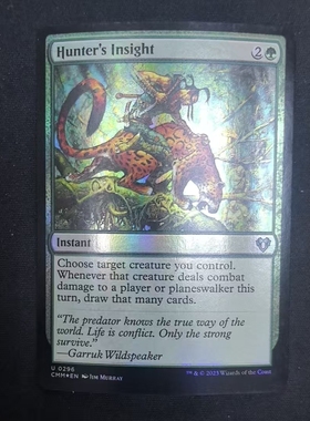 【北境卡牌】万智牌 猎人眼光 Hunter's Insight CMM 英文闪卡 银