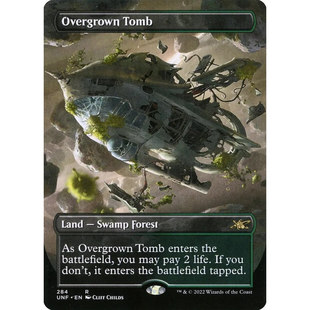 蔓生墓园 金 万智牌 UNF 英文平卡 Tomb 北境卡牌 Overgrown