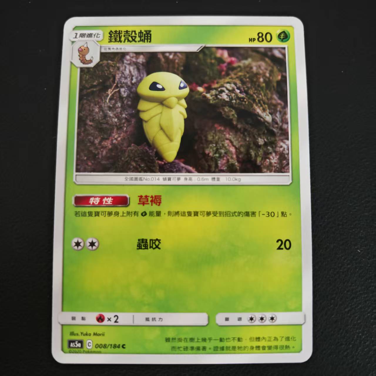 PTCG正版宝可梦As5a铁壳蛹C