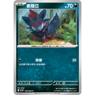 【北境卡牌】PTCG正版宝可梦卡牌繁中 SV11W 索罗亚 C平/球闪