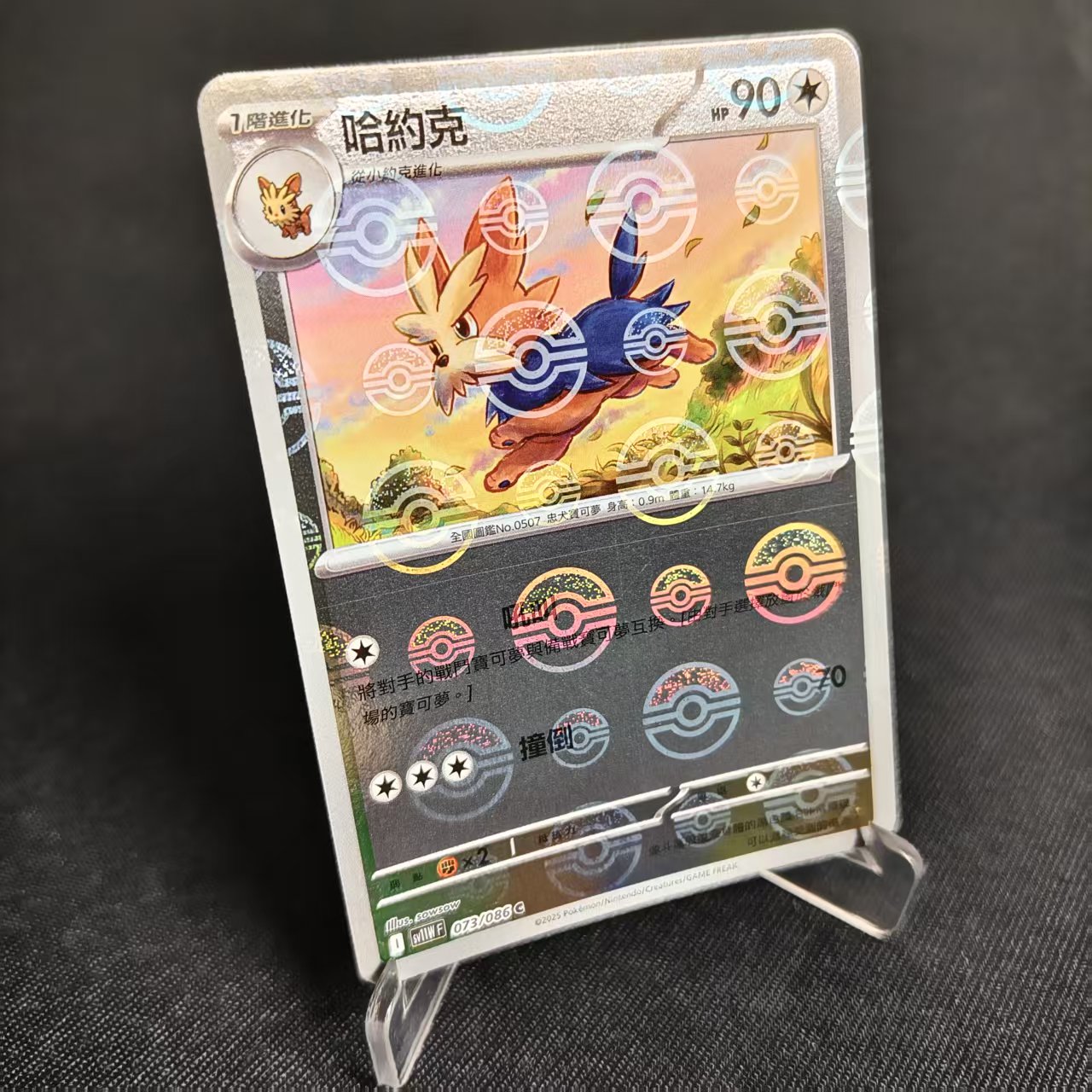 PTCG卡牌繁中哈约克精灵球闪