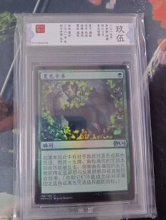 【北境卡牌】万智牌 夏色帘幕 简中平闪 战狼闪 M20核心系列