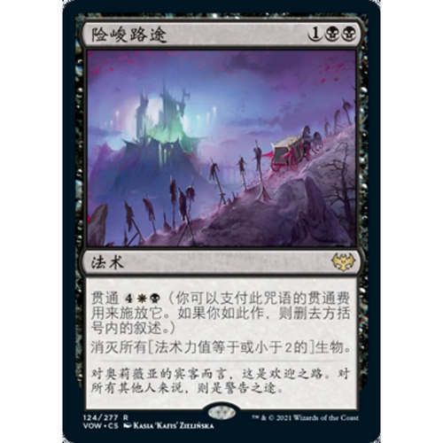 万智牌险峻路途VOW英文平卡