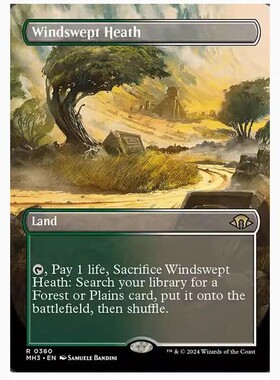万智牌 风袭荒地 Windswept Heath MH3 中/英文异画平/闪卡 金