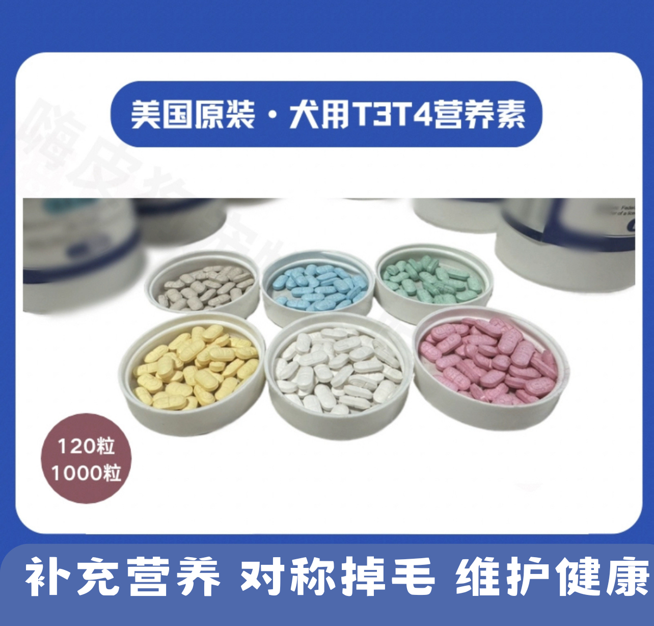 美国狗狗左旋甲壮腺素片功能减退T3T4低钾宠物甲减补钾康对称掉毛