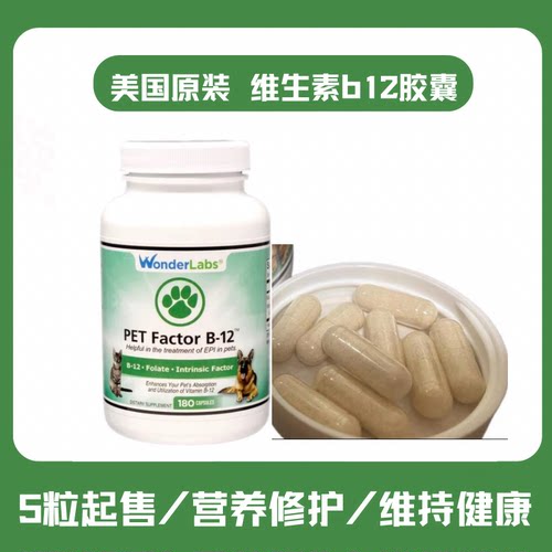 宠物甲钴胺素美国进口狗狗营养品