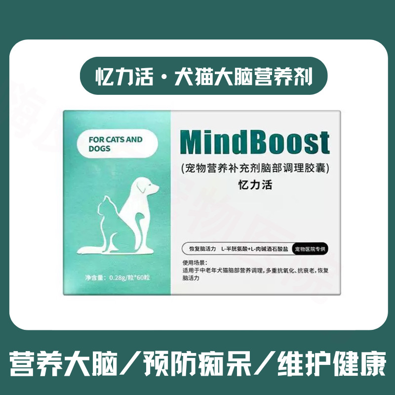科学食补预防老年猫狗痴呆养大脑