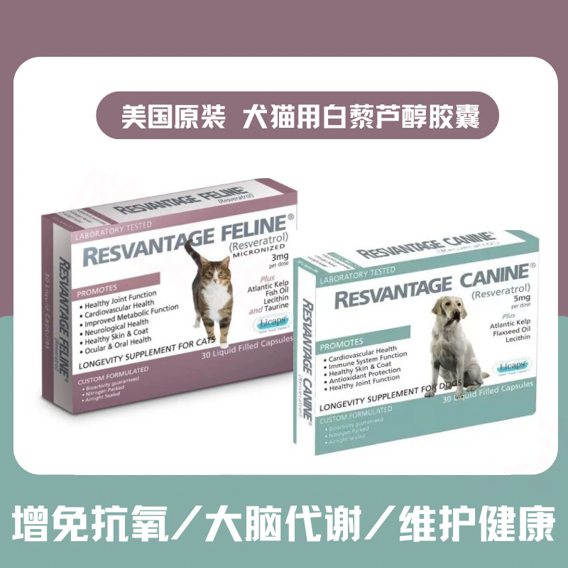 美国犬猫白藜芦醇防氧化衰老缓瘤块状大降血脂血糖肥胖狗狗防血堵