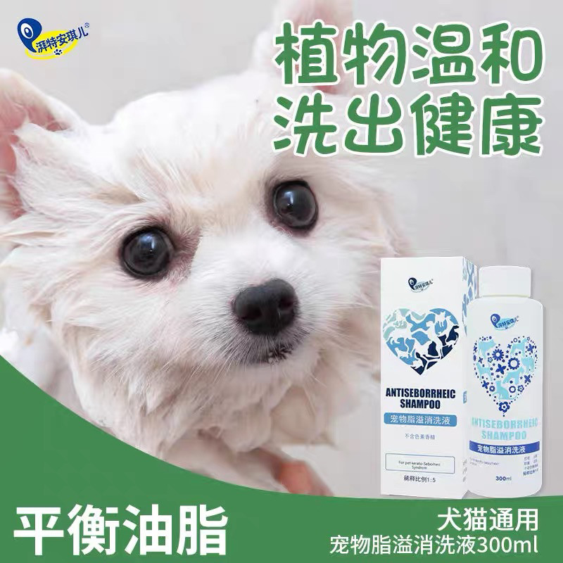代理直发保真沐浴露湃特安琪儿