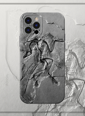 始祖鸟适用苹果iPhone16pro max小众15创意英伦风14Plus原创13手机软壳12防摔11欧美个性艺术水墨灰色ins简约