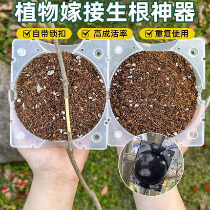 植物高压繁殖嫁接盒花卉果树控根神器扦插枝繁殖球生根育苗繁殖器