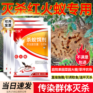 灭红火蚁药杀蚂蚁饵剂全窝消灭除红黄黑蚂蚁诱饵剂端防治专用药剂