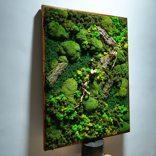 永生苔藓墙壁装饰立体植物挂件酒店餐厅名宿样品间展厅装饰品北欧