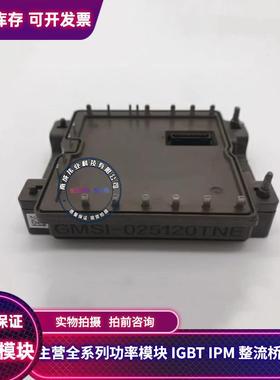 GMSI-025120TNE GMSI-015120TNE GMSI-010120TNE 全新 现货