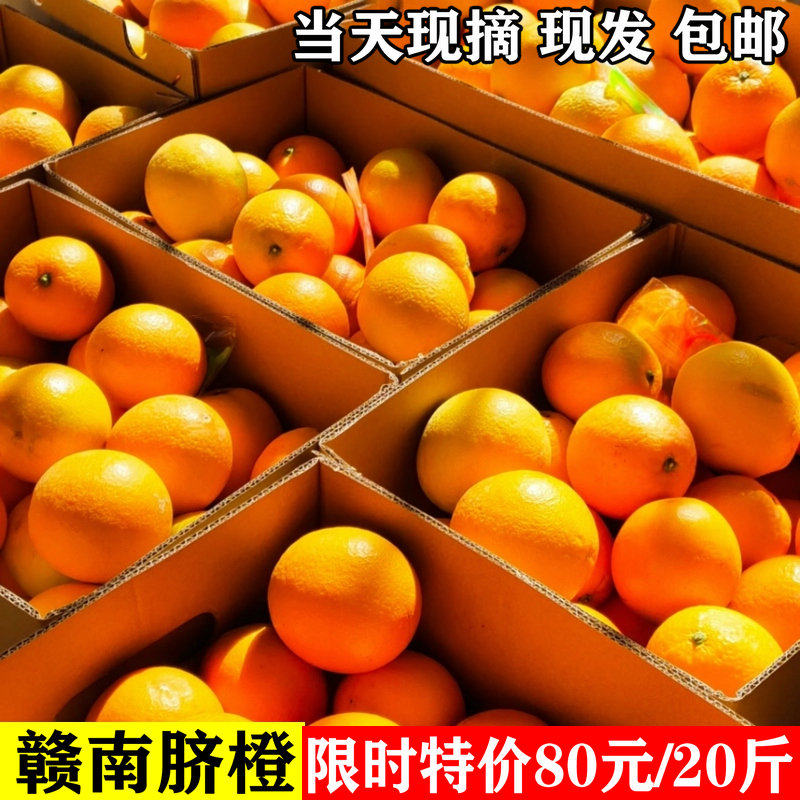 江西正宗赣南脐橙新鲜10斤甜橙子现货孕妇当季大水果20斤现摘包邮