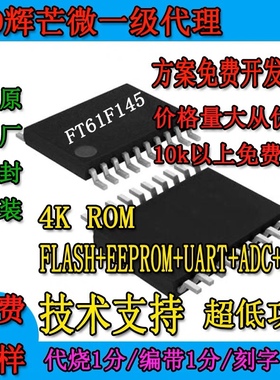 FT61F145/FT61E145/FT61FC45 辉芒微  FLASHD单片机