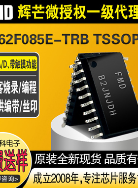 FT62F085E-TRB TSSOP20辉芒微FMD触摸MCU TouchMCU 15个Touch