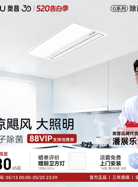 奥普厨房凉霸厨房照明二合一集成吊顶吹风扇厨房冷风机凉霸LC201A