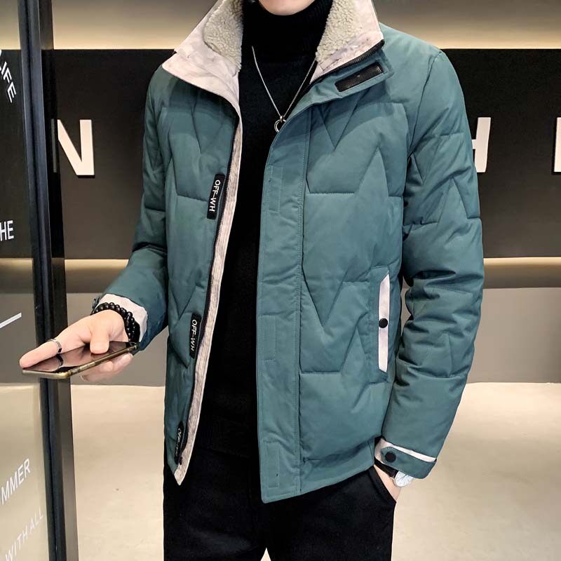 主推大货立领棉衣冬季青年休闲纯色棉服外套MY8608-P100图片