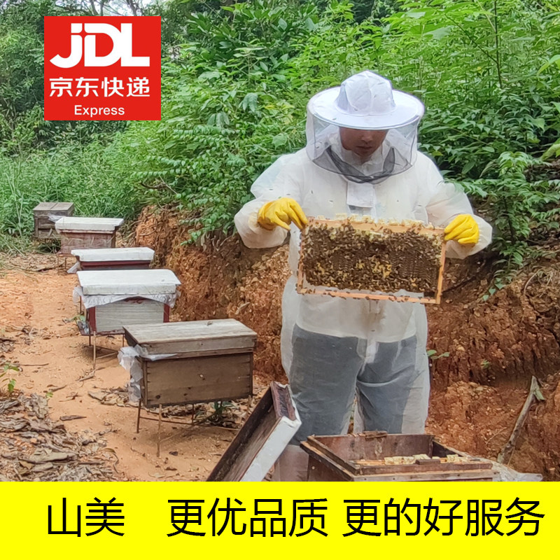 京东果农专链中蜂蜂群带王蜜蜂蜂群带子脾阿坝中蜂带蜂箱中华土蜂