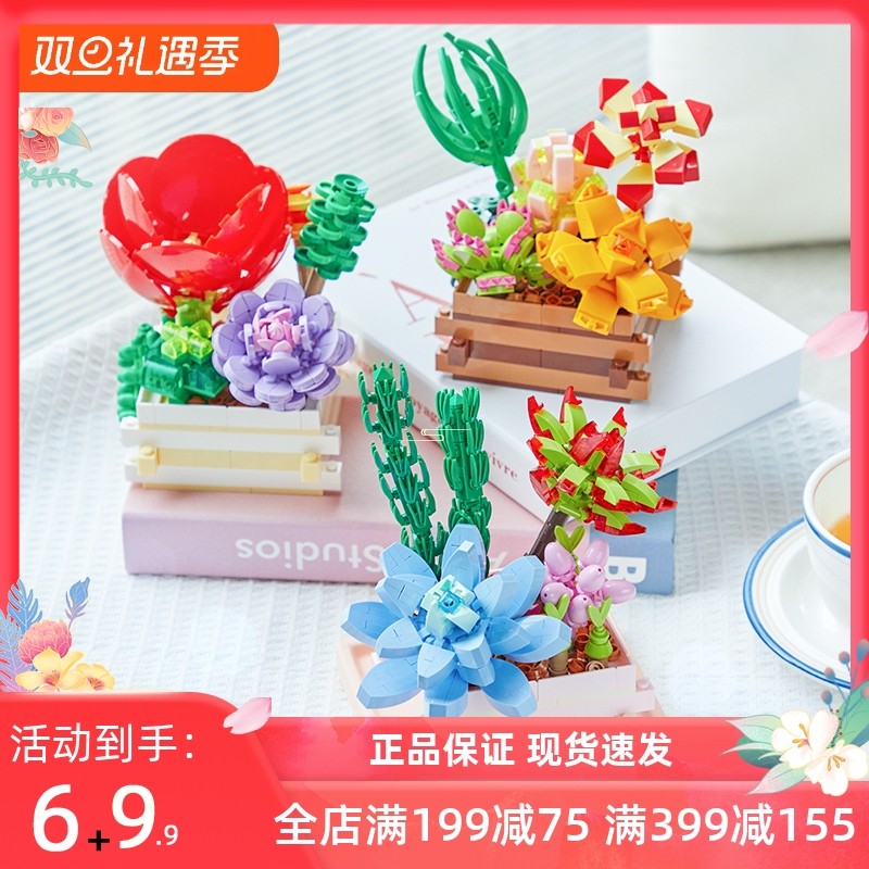 拼奇积木花多肉植物盆栽